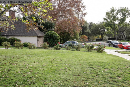 Enlarge photo 62