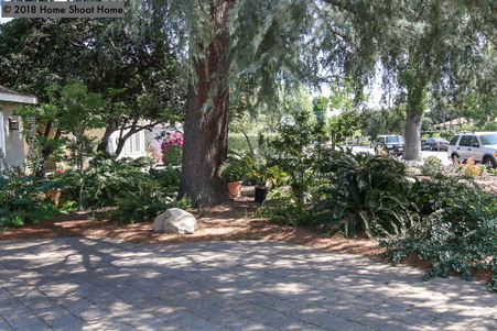 Enlarge photo 57
