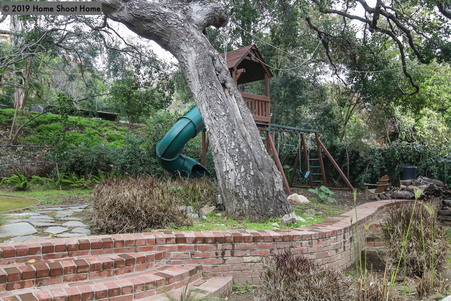 Enlarge photo 45