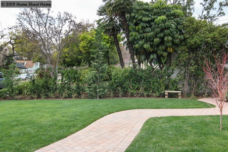 Enlarge photo 51