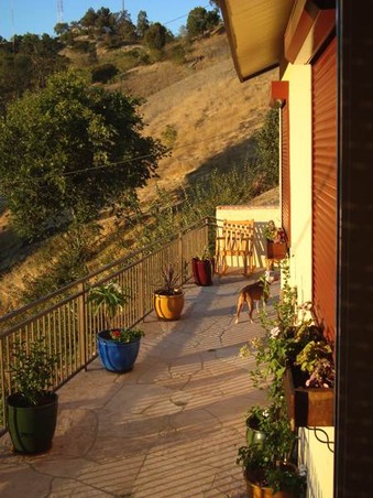 Enlarge photo 60