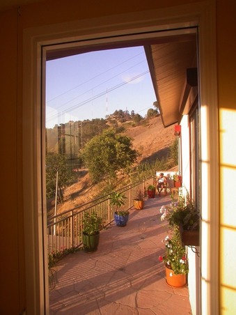 Enlarge photo 61