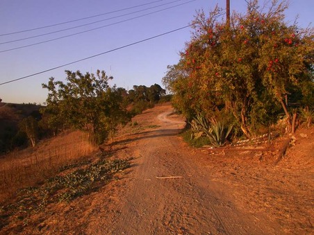 Enlarge photo 67