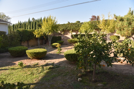 Enlarge photo 17