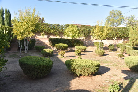 Enlarge photo 19
