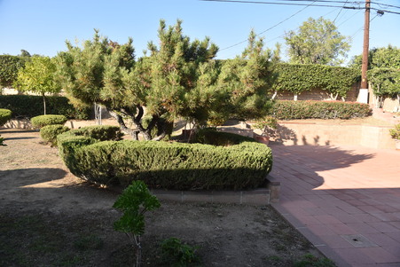 Enlarge photo 20