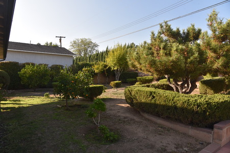 Enlarge photo 24