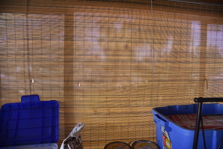 Enlarge photo 27