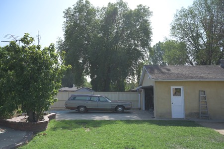 Enlarge photo 33