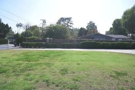 Enlarge photo 72