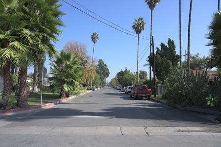 Enlarge photo 87