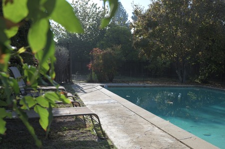 Enlarge photo 39