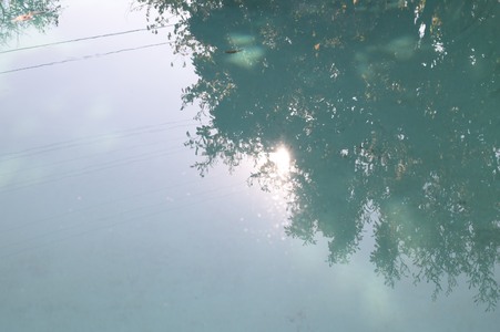 Enlarge photo 41