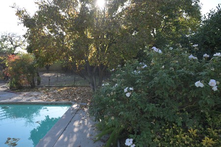 Enlarge photo 44