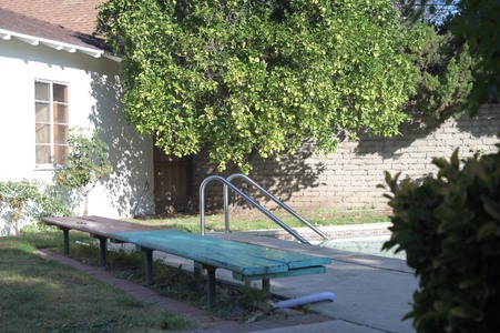 Enlarge photo 48