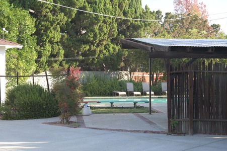 Enlarge photo 61
