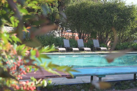 Enlarge photo 59