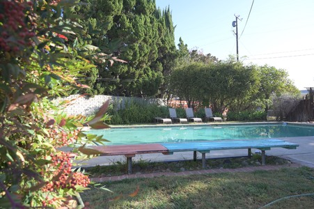 Enlarge photo 60
