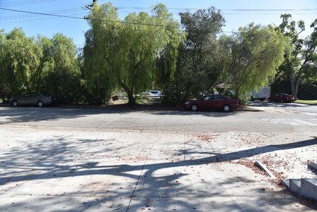 Enlarge photo 37