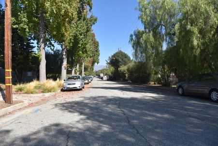 Enlarge photo 41