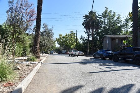 Enlarge photo 54