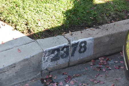 Enlarge photo 53