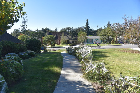 Enlarge photo 15