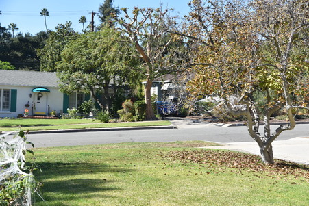 Enlarge photo 16