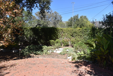 Enlarge photo 41