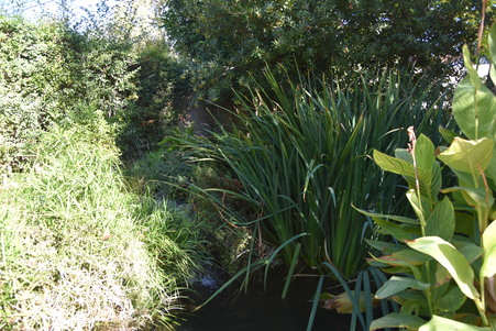 Enlarge photo 43