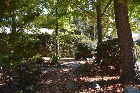 Enlarge photo 46