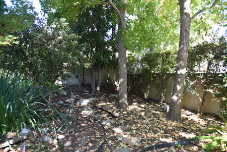 Enlarge photo 44