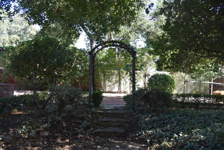 Enlarge photo 49