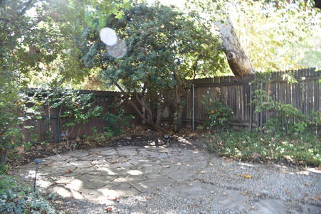 Enlarge photo 51