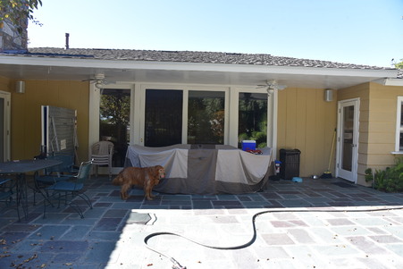 Enlarge photo 63