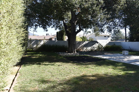 Enlarge photo 34