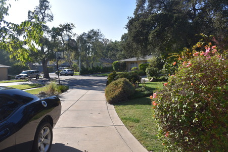 Enlarge photo 12