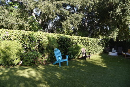 Enlarge photo 14