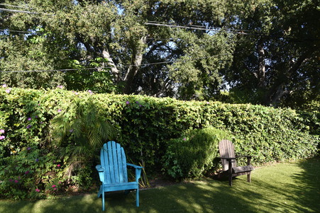 Enlarge photo 18