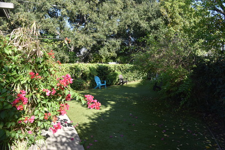 Enlarge photo 20