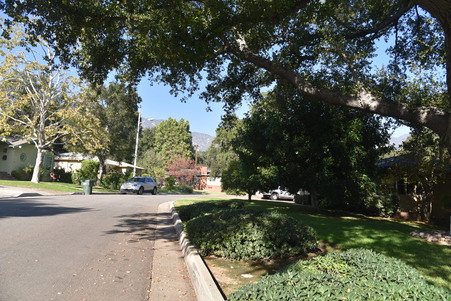Enlarge photo 28
