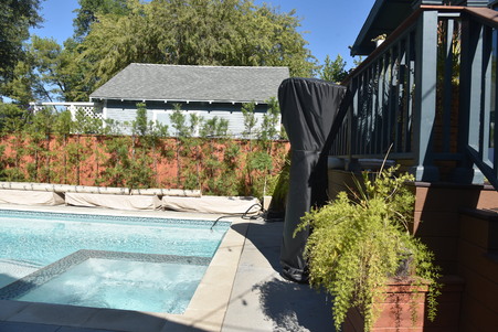 Enlarge photo 31
