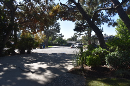 Enlarge photo 37