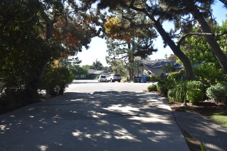 Enlarge photo 39