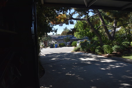 Enlarge photo 42