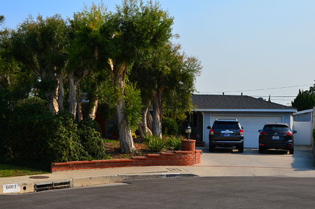 Enlarge photo 2