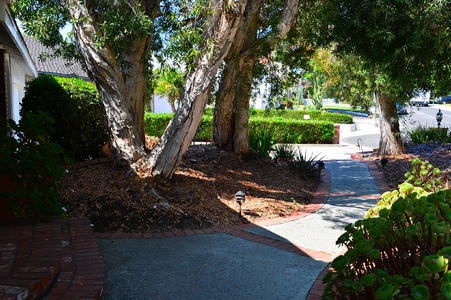 Enlarge photo 12
