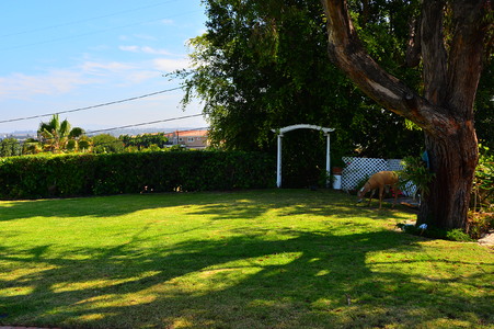 Enlarge photo 26