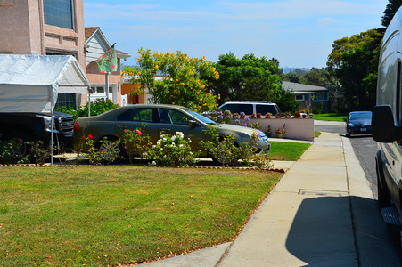 Enlarge photo 90