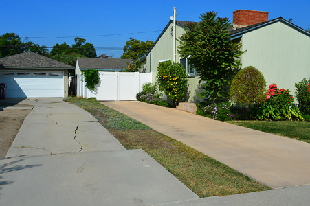 Enlarge photo 41